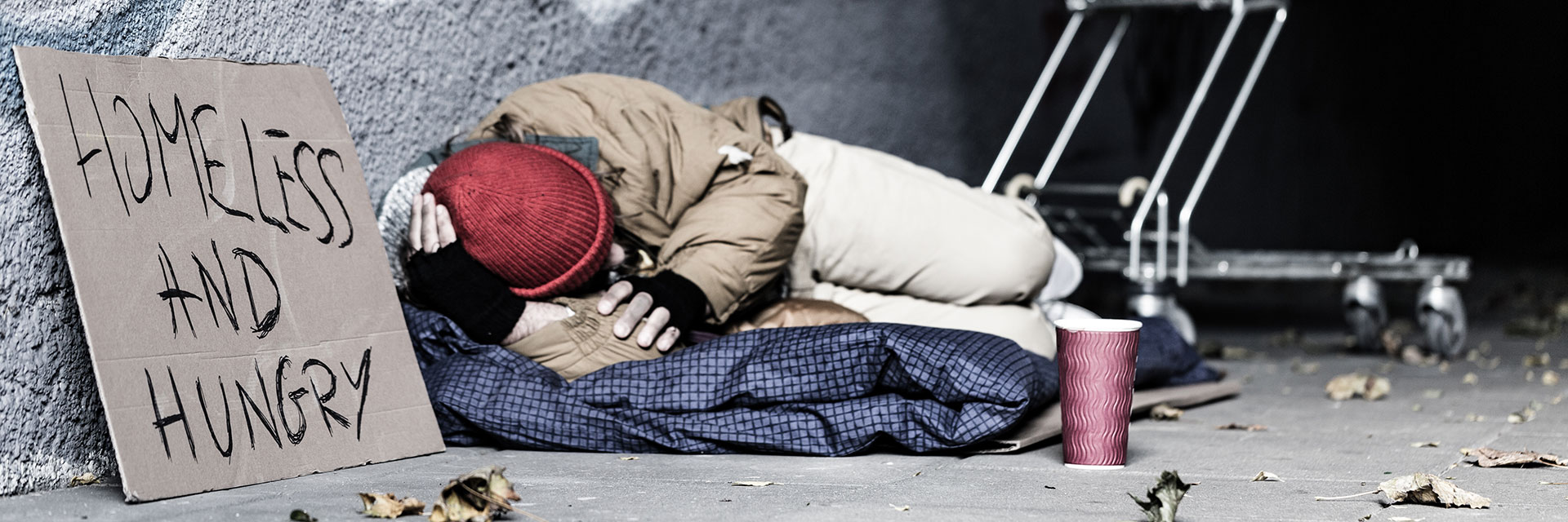 Homelessness Homelessness